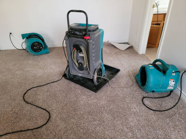 Best 24/7 water damage repair  in Presque Isle, ME