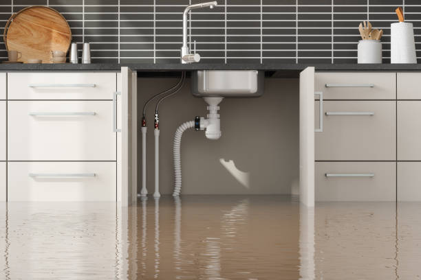 Best Water damage mitigation services  in Presque Isle, ME