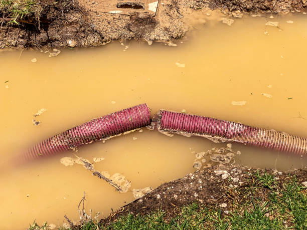 Best Water damage restoration services  in Presque Isle, ME